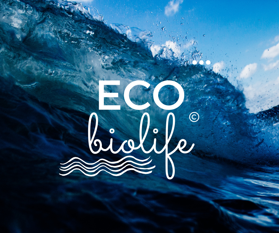 logo-ecobiolife-progetto-freesailvelaemare